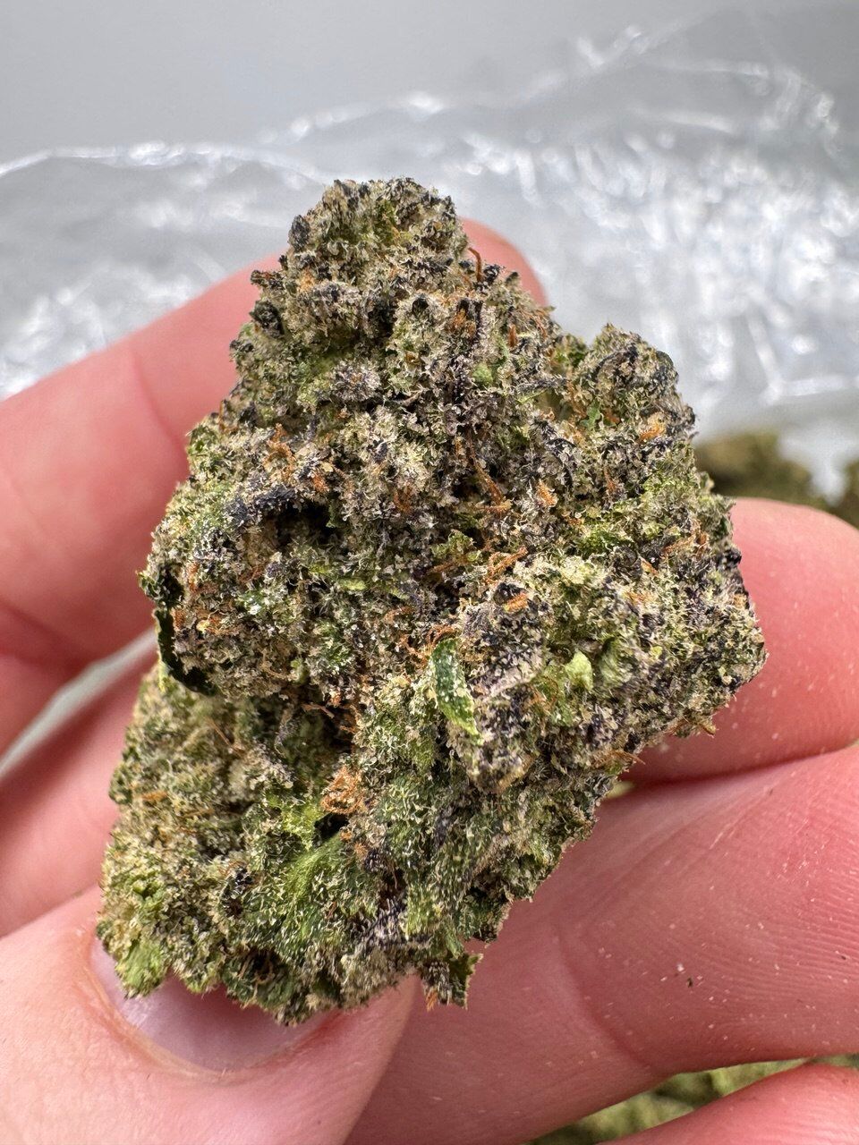 Northern Lights Strain